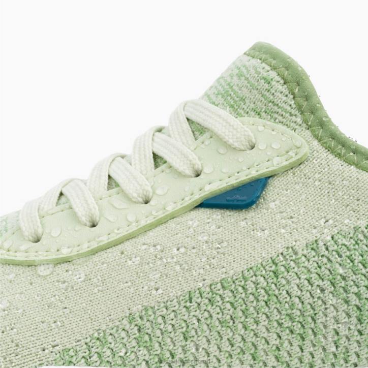 Lotus Vessi Wochenende - Lotus B4JF38